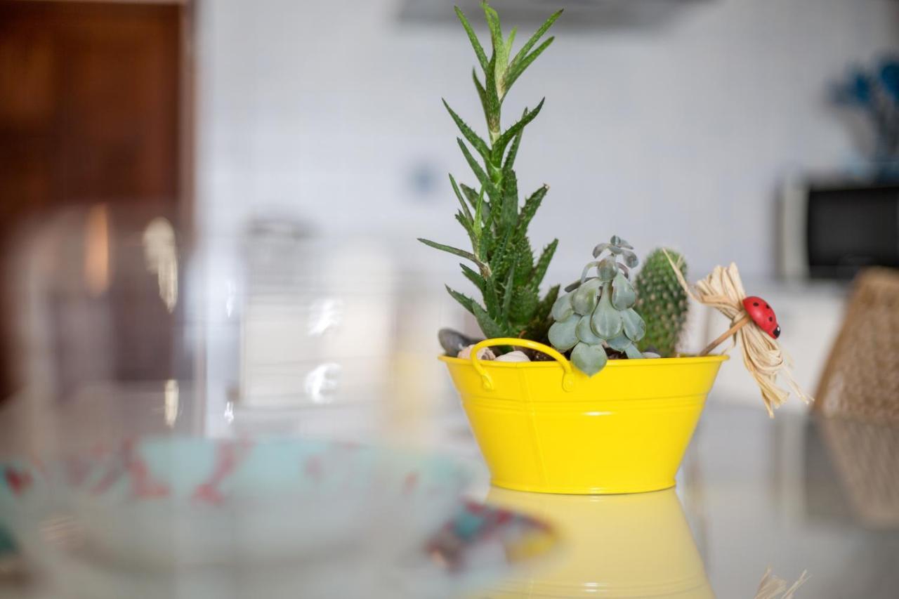 Apartamento Abuelo Miguel Cotillo Zewnętrze zdjęcie